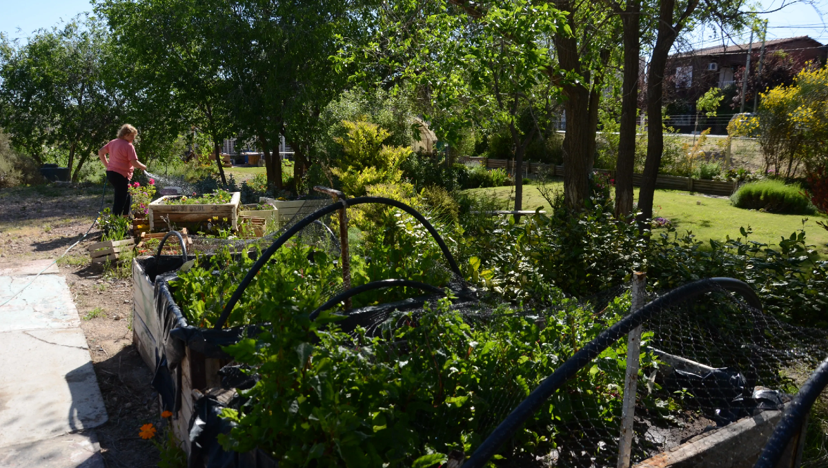 Aman la jardinería y crearon un oasis de flores en plena meseta de Neuquén