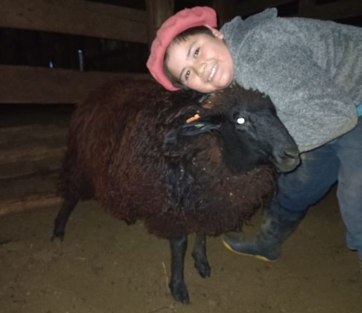 Se anotaron 10 participantes, responsables de recriar un cordero. Foto: SRN Se anotaron 10 participantes, responsables de recriar un cordero. Foto: SRN