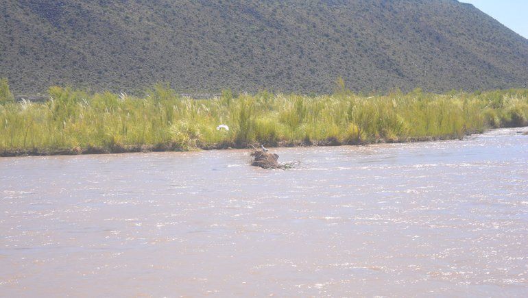 Un joven con conocimientos de RCP fue el héroe del rescate. 