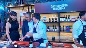 Rolando Figueroa: Neuquén es mucho más que Vaca Muerta