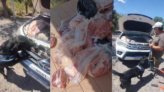 La carne que quería ingresar de contrabando estaba ubicada alrededor de l motor de la camioneta.