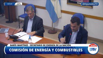 dario martinez comision energia diputados