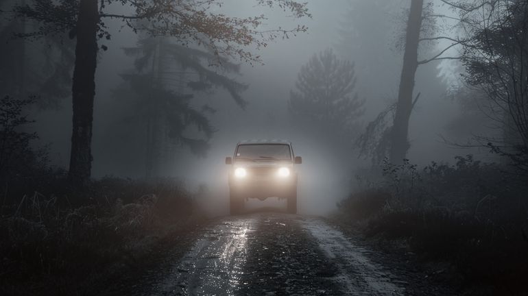 Es fundamental usar luces bajas mientras se maneja en la niebla. Es fundamental usar luces bajas mientras se maneja en la niebla.