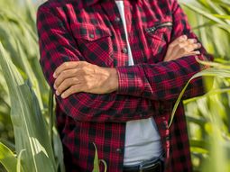 Se acordó un bono extra para 2024. Foto: Freepik Se acordó un bono extra para 2024. Foto: Freepik