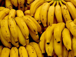 Por falta de dólares en sus reservas, el Banco Central dejó de pagar a los exportadores paraguayos. Por falta de dólares en sus reservas, el Banco Central dejó de pagar a los exportadores paraguayos.