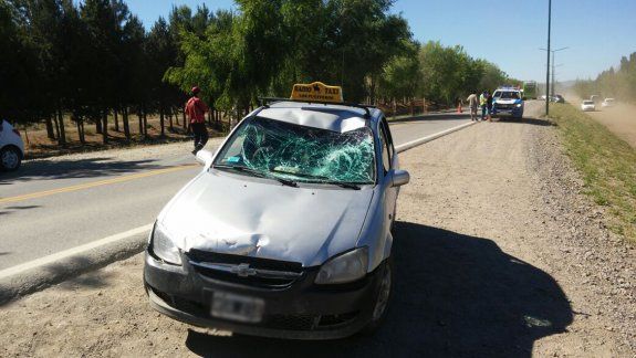 Un adolescente de 14 años está grave luego de ser embestido por un taxi en la Ruta 40