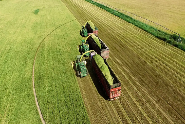 La mayor parte de la alimentación para el ganado chino llega de las tierras de Rusia. La mayor parte de la alimentación para el ganado chino llega de las tierras de Rusia.