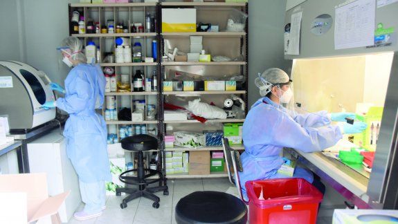 En lo que va de la pandemia, Neuquén tuvo 4175 contagiados de Covid-19