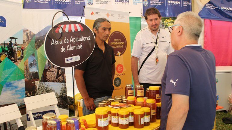 La mejor miel de  la provincia se hace en Aluminé