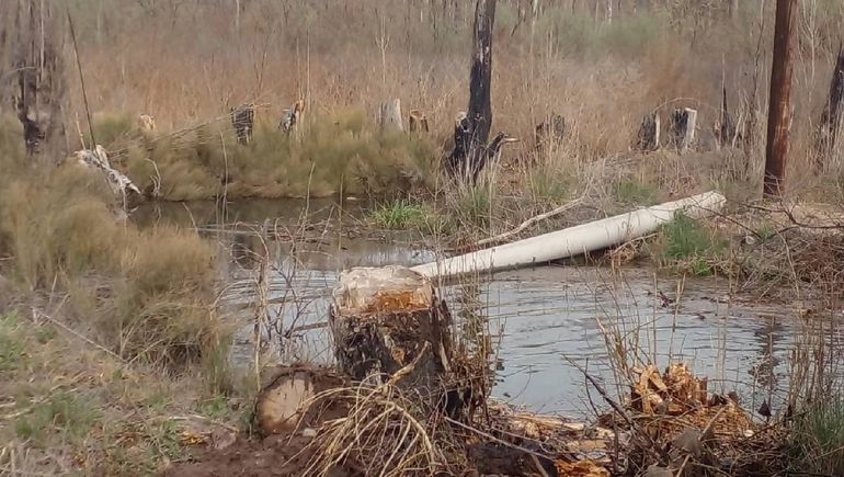 El desborde en el canal de riego de Vista Alegre Norte que llegó a algunas casas. Foto: Protección Civil de Vista Alegre. El desborde en el canal de riego de Vista Alegre Norte que llegó a algunas casas. Foto: Protección Civil de Vista Alegre.