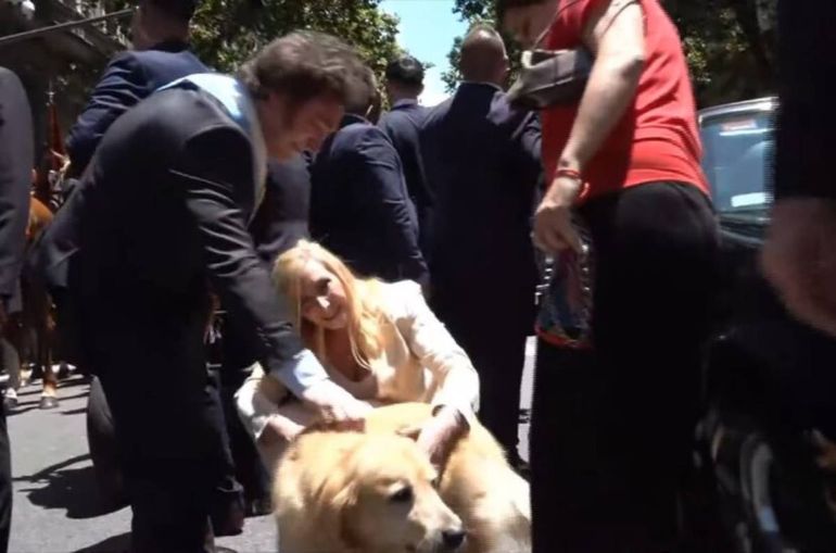 Durante la jornada de asunción, Javier Milei rompió el protocolo de seguridad y se bajó a saludar a un perro. Foto: Google.