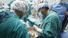 El país superó el récord de trasplantes de órganos