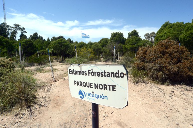 Este año se plantaron más de 8700 árboles nuevos en la ciudad