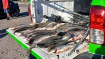 pescadores furtivos el finde xxl: decomisaron casi 200 truchas de la pesca ilegal en rios y lagos de neuquen pescadores furtivos el finde xxl: decomisaron casi 200 truchas de la pesca ilegal en rios y lagos de neuquen