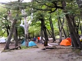 El Campamento De Agostini está en los senderos de treking de El Chaltén, en Santa Cruz.&nbsp;