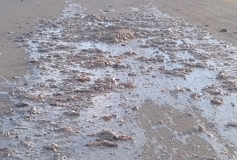 Tiraron pescado podrido frente al vaciadero de Puerto Deseado, Santa Cruz. Tiraron pescado podrido frente al vaciadero de Puerto Deseado, Santa Cruz.