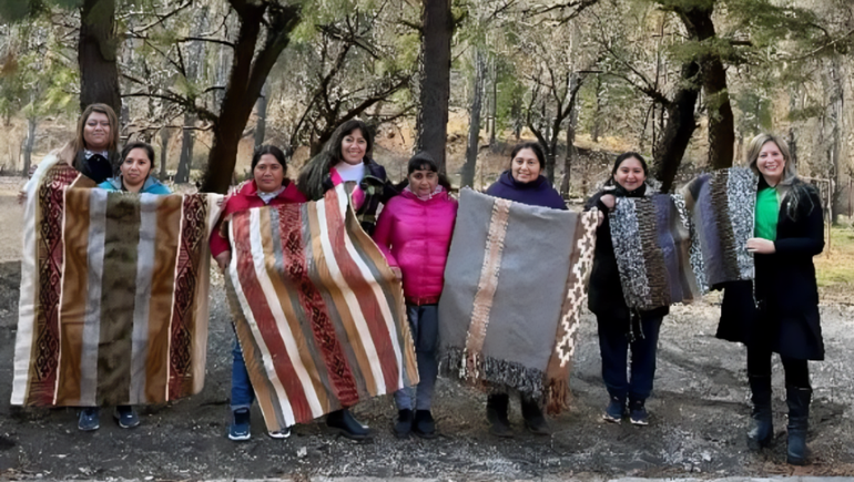 Mujeres mapuches lograron créditos de Provincia para mejorar sus emprendimientos