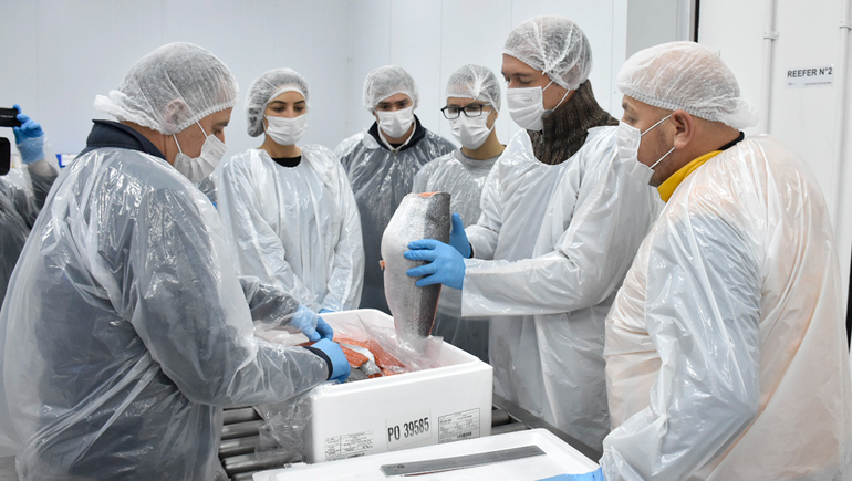 Las truchas de Piedra del Águila saldrán al mundo desde el aeropuerto de Neuquén