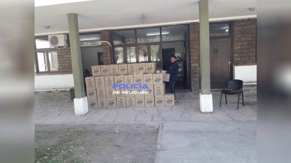 Senasa decomisó más de 23 mil huevos que traían a Neuquén