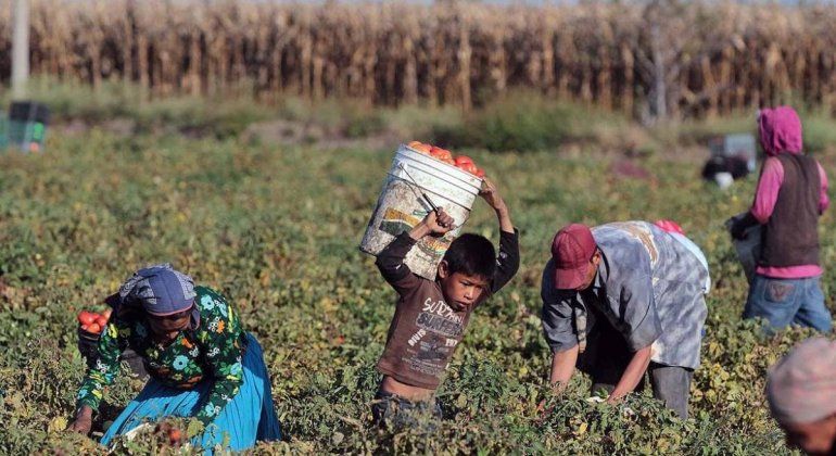 El trabajo infantil es una forma moderna de esclavitud
