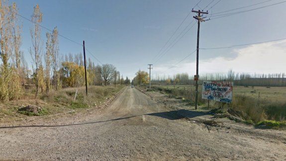 El perro fue hallado muerto en la avenida Candolle, en Plottier.