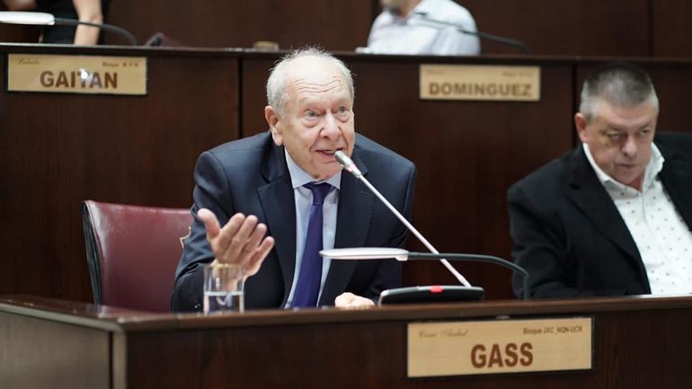 El pedido que le hizo la UCR a Rolando Figueroa por el DNU de Javier Milei