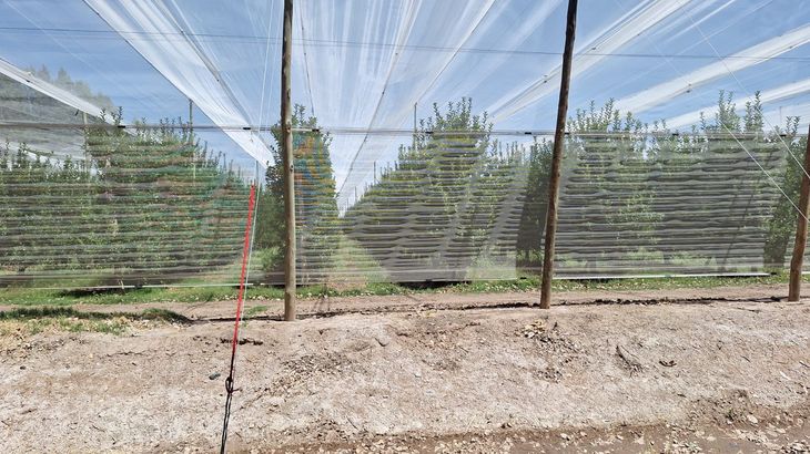 Adaptarse o salir del sistema: la escala y la tecnología dejaron de ser una ventaja y pasaron a ser una obligación. Adaptarse o salir del sistema: la escala y la tecnología dejaron de ser una ventaja y pasaron a ser una obligación.