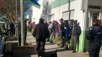 volco un camion con cerdos y la gente paraba para robarlos