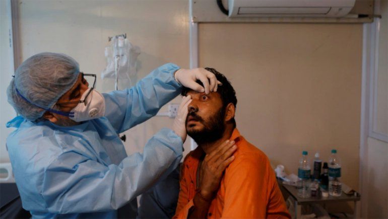 Mucormicosis: la India registra más de 4.300 muertes por el hongo negro