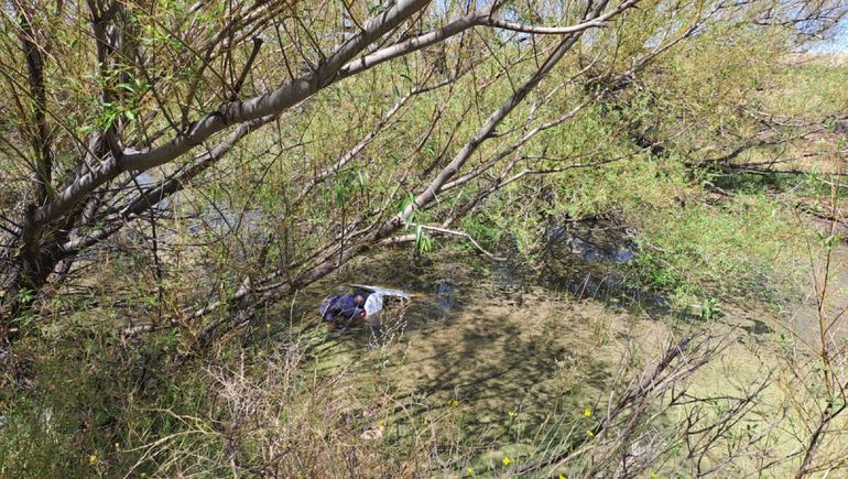 Una conductora despistó y terminó adentro de una laguna escondida