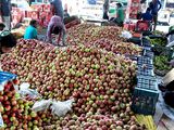 India es uno de los principlaes importadores de manzana de Irán.