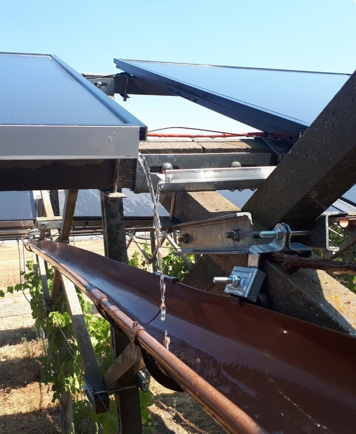 La mayor ventaja que han descubierto estos agricultores es la sombra que los paneles proyectan. Foto: @vignagrivoltaica La mayor ventaja que han descubierto estos agricultores es la sombra que los paneles proyectan. Foto: @vignagrivoltaica