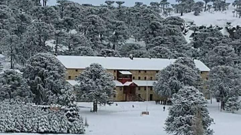 Ahora que hay nieve ¿Qué pasa con Primeros Pinos?