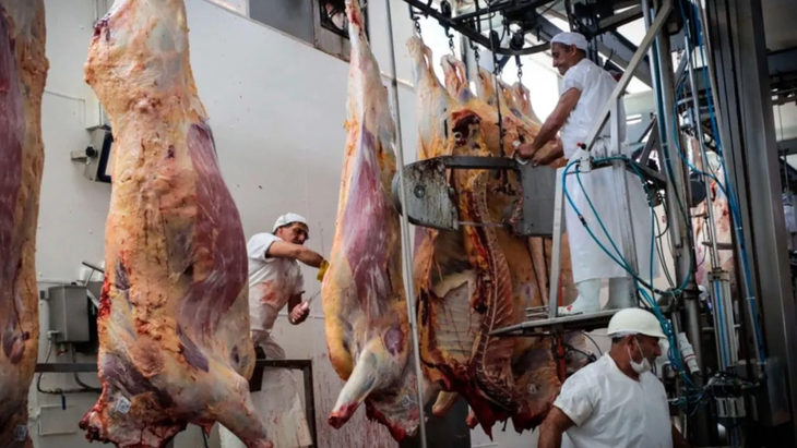 El récord en dólares refleja una combinación de inflación persistente, atraso cambiario y caída en la producción de carne.