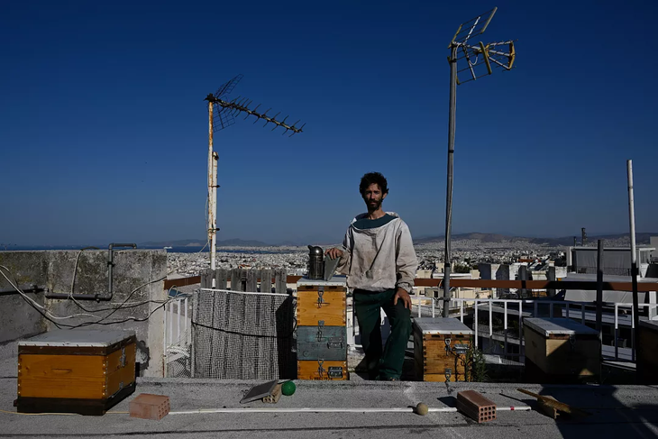 Apicultor inspecciona colmenas en azotea ateniense: dedicaci&oacute;n diaria que asegura salud de colonias y producci&oacute;n sostenible en pleno coraz&oacute;n urbano.