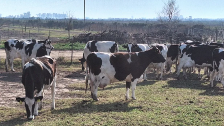 La familia se dedicó muchos años a la actividad agropecuaria en el nordeste de Córdoba. La familia se dedicó muchos años a la actividad agropecuaria en el nordeste de Córdoba.