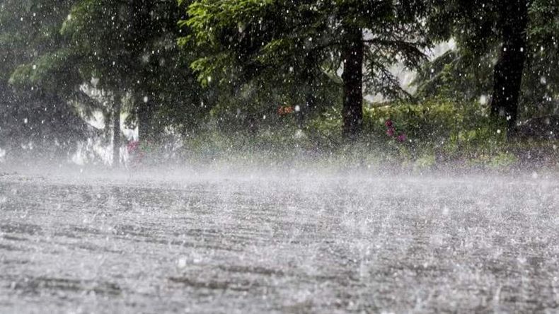 El SMN confirmó un alerta por lluvia y fuertes vientos.