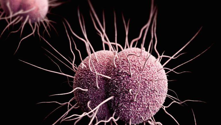 Sífilis y gonorrea en aumento en Europa. Sífilis y gonorrea en aumento en Europa.