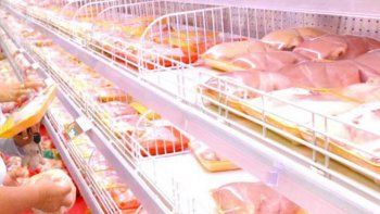 sufrio un accidente al descargar pollos y cobrara mas de $80 mil sufrio un accidente al descargar pollos y cobrara mas de $80 mil