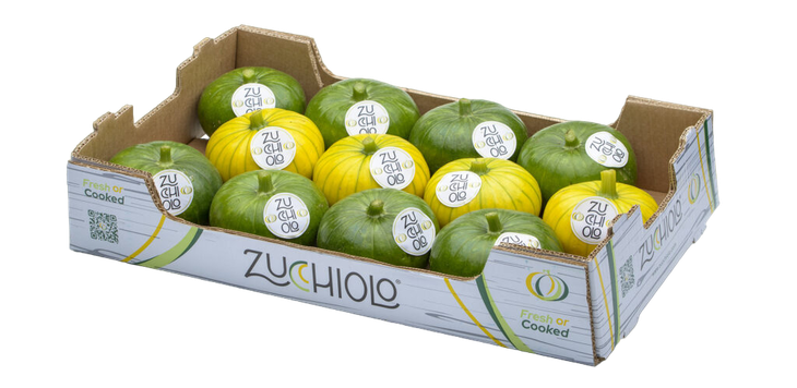Verde oscuro, verde claro y amarillo, esta hortaliza híbrida tiene alta durabilidad en la postcosecha. Foto: zucchiolo.com Verde oscuro, verde claro y amarillo, esta hortaliza híbrida tiene alta durabilidad en la postcosecha. Foto: zucchiolo.com