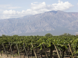 Hay casi 500 establecimientos abiertos a los viajeros en 17 provincias. Hay casi 500 establecimientos abiertos a los viajeros en 17 provincias.