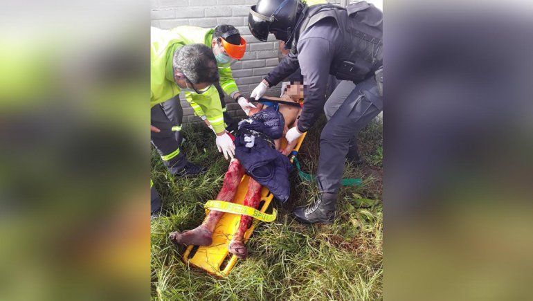 Dos perros mataron a un ladrón que entró a la casa