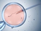 El centro de fertilización in vitro donde se llevó a cabo el procedimiento admitió su error y ofreció disculpas.