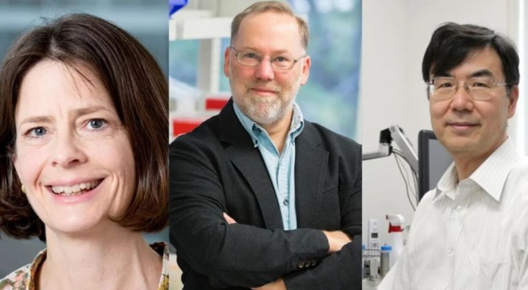 El Nobel destacó descubrimientos sobre las células T reguladoras y su papel en la prevención de enfermedades autoinmunes.