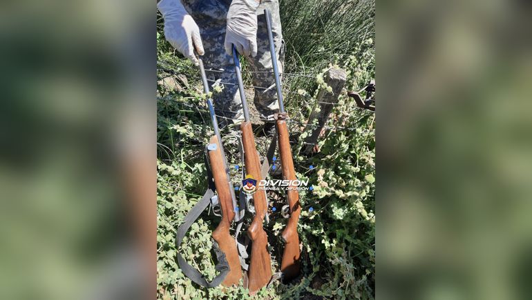 San Martín de los Andes: le robaron 13 vacas de su campo