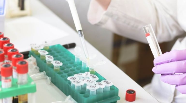 Esta variante es el resultado de la recombinación de subvariantes