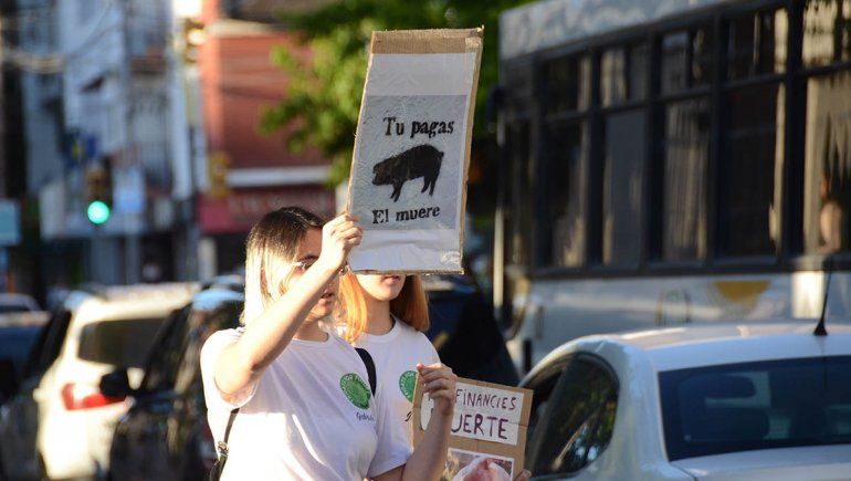 Día mundial del veganismo: por qué se celebra hoy