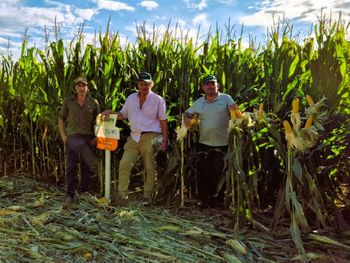 La Patagonia emerge como una nueva frontera agrícola para el maíz: altos rendimientos, más inversiones y miles de hectáreas todavía disponibles para desarrollar bajo riego.