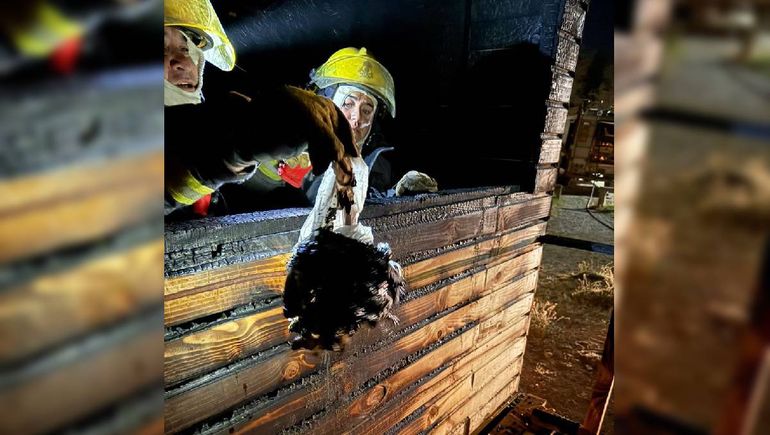 Los bomberos de Villa Pehuenia tras el incendio en el parador de Radal Co. Los bomberos de Villa Pehuenia tras el incendio en el parador de Radal Co.