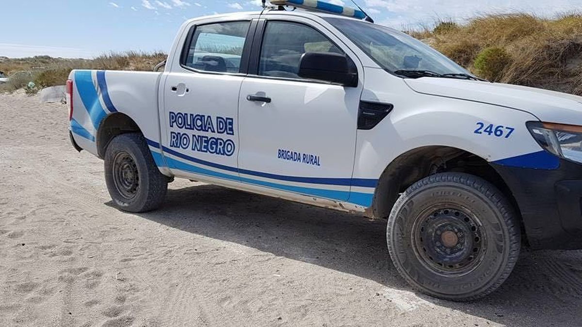 Abigeato en el predio de la Escuela ESFA. La Brigada Rural activó el protocolo de abigeato.&nbsp;